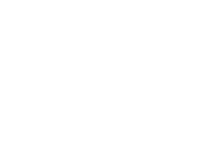 Pristine Pro Cleaners